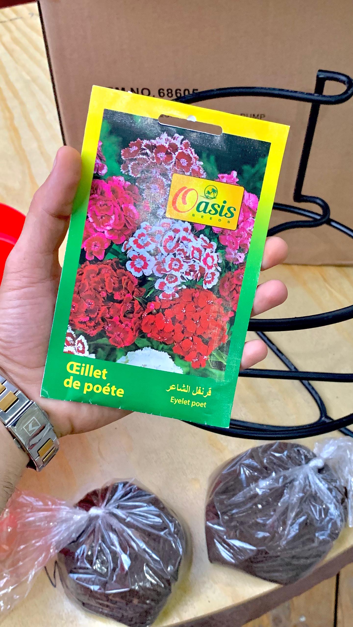 X2-Support + 2 bouquets + graines d'œillet & terreau